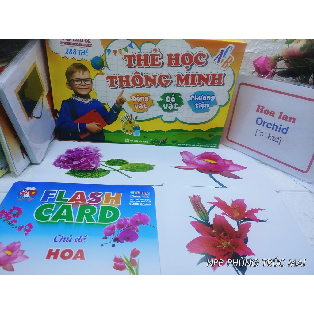 Bộ Thẻ Học Thông Minh Glenn Doman Flashcard 18 chủ đề nâng cấp từ 16 chủ đề lên 288 thẻ giá không đổi