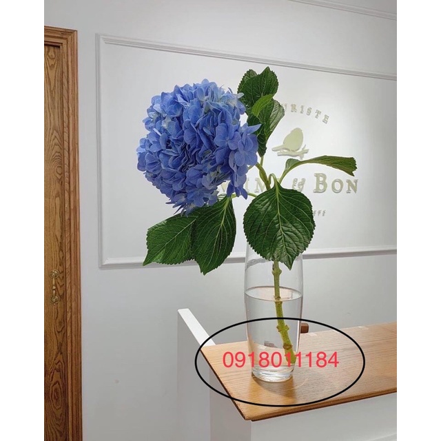 ✔️Trụ búp thuỷ tinh các loại