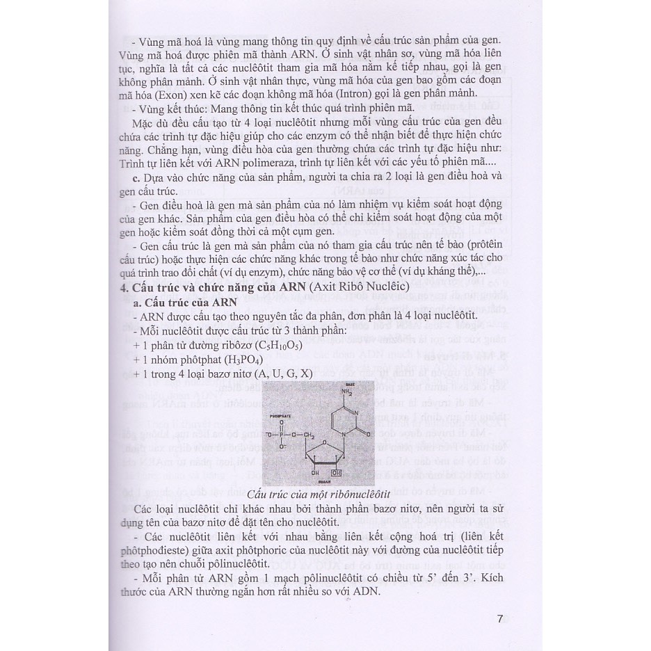 Sách - Bồi Dưỡng Học Sinh Giỏi Sinh Học 12
