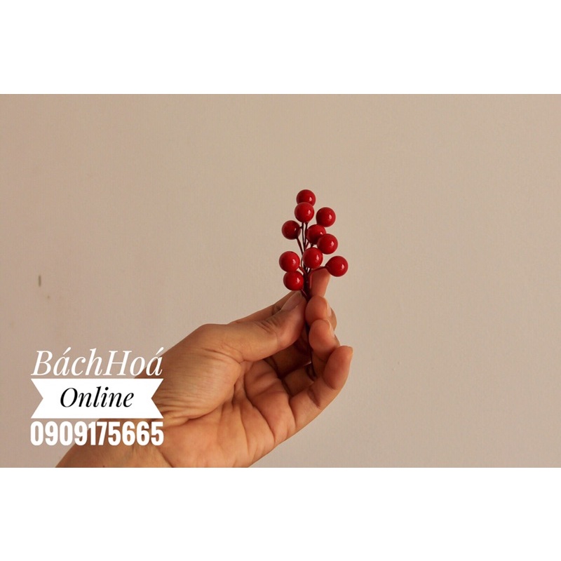 Quả anh đào  dùng trang trí Noel - đám cưới - chụp ảnh