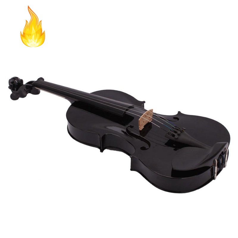 Đàn Violin 4 / 4 Full Size Kèm Hộp Đựng