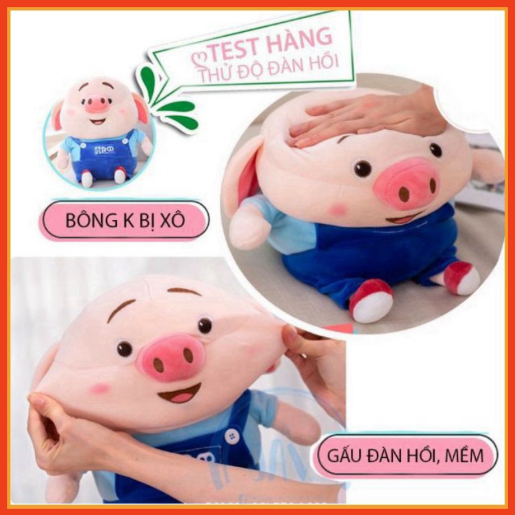 Gấu Bông Heo Tiktok - Lợn Tic Toc Đáng Yêu Dùng Để Làm Gối Ôm, Quà Tặng Người Thương,Thú Nhồi Bông Heo Ngộ NGhĩnh