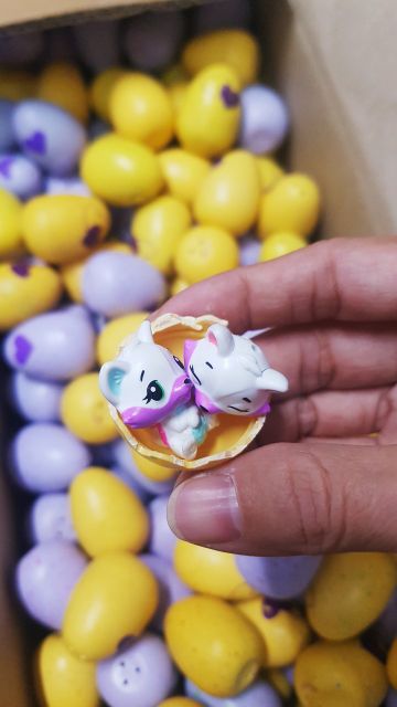TRỨNG HATCHIMALS 🥚🥚🥚CÁC MÙA