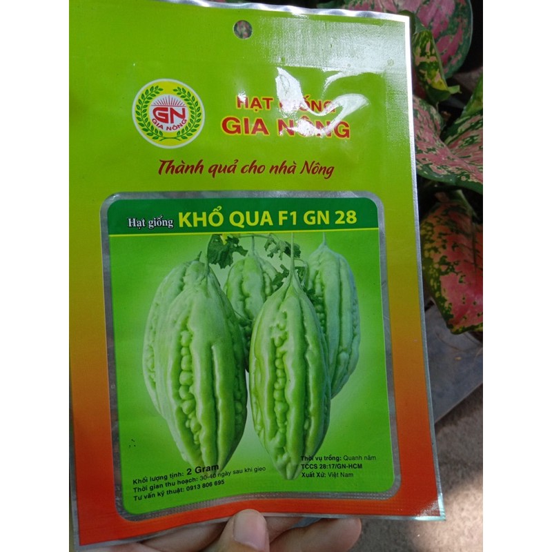 hạt giống củ quả rau sach