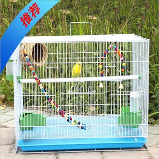 Mua bán rao vặt chim cảnh tại Cao Bằng - Chugiong.com