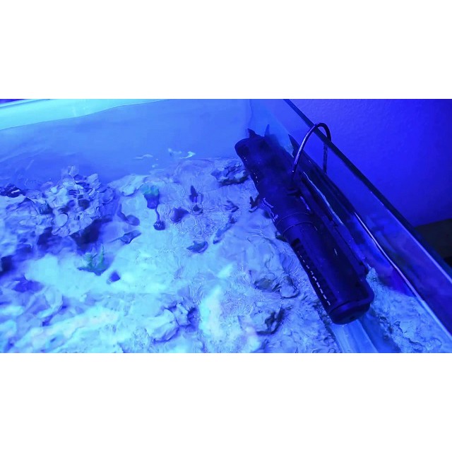 Máy tạo sóng cho bể cá JEBAO SCP-120-máy thổi luồng