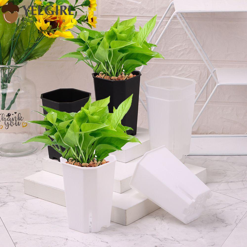 Chậu Trồng Cây Bằng Nhựa Hình Vuông Nhiều Màu Sắc