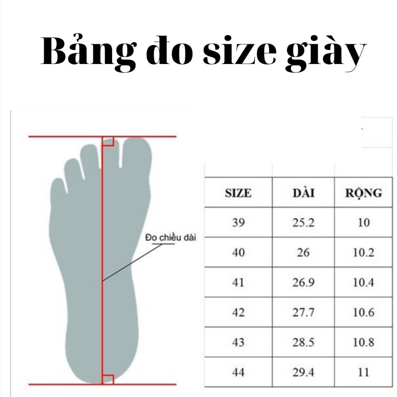 Giày thể thao nam thời trang trẻ trung cá tính giày sneaker ôm chân thoáng khí DA001