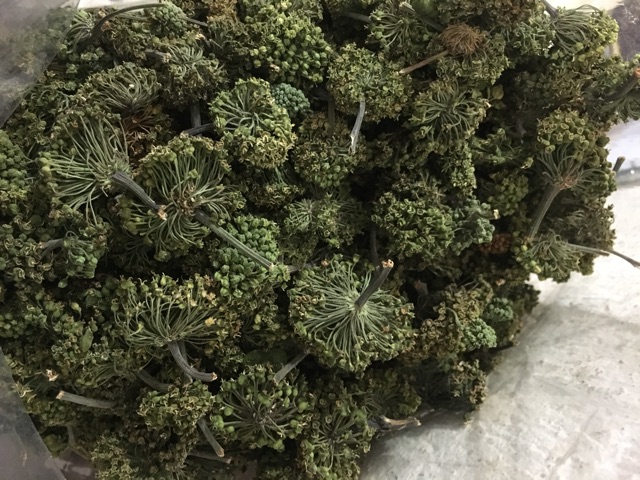 Hoa tam thất khô (500g) | BigBuy360 - bigbuy360.vn