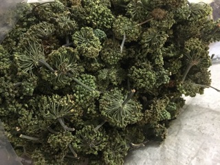 Hoa tam thất khô (500g)