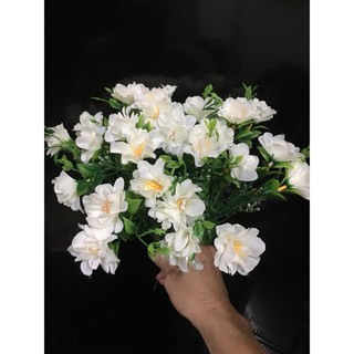 Cành điểm hoa tú cầu