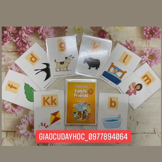 Flashcards Tiếng Anh Family and Friends national 1 ép plastics bền đẹp