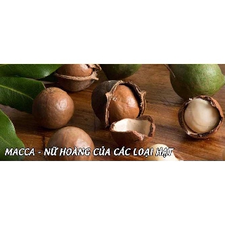 Macca Daklak - Nữ hoàng của các loại hạt
