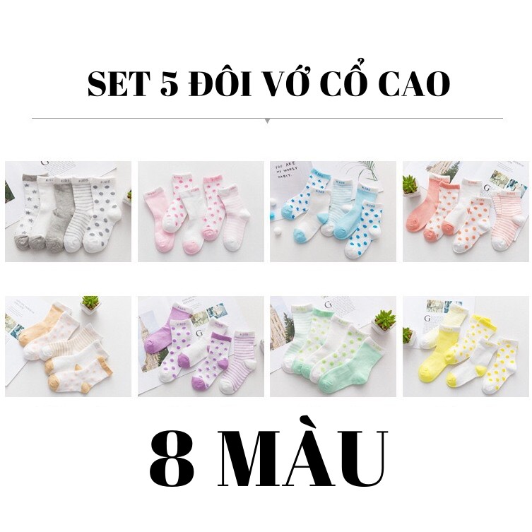 Set 5 đôi vớ - tất lưới ngôi sao cổ cao cho bé yêu