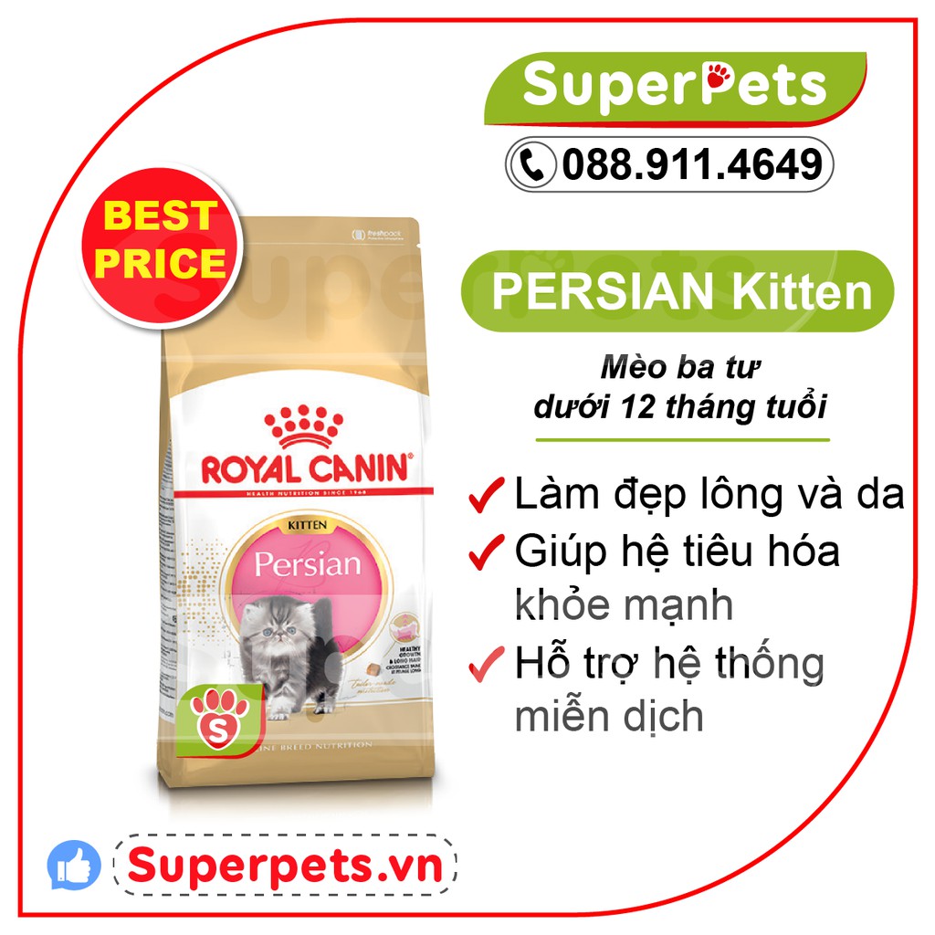 Thức Ăn Cho Mèo British Shorthair Persian Kitten Adult Royal Canin Chính Hãng Nhập Pháp SUPERPETS VIỆT NAM