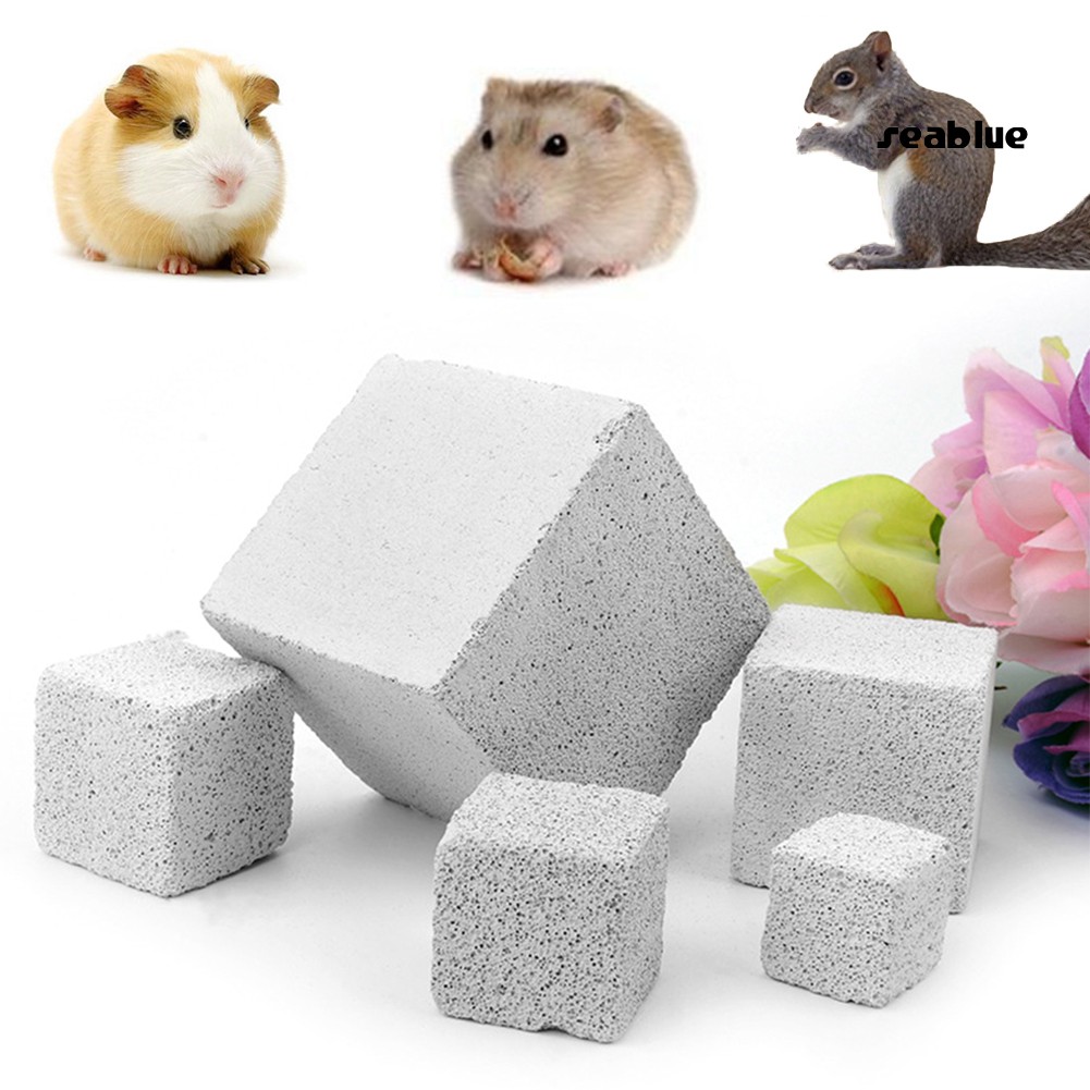 Đồ Chơi Khối Đá Mài Răng Nhiều Kích Thước Cho Chuột Hamster