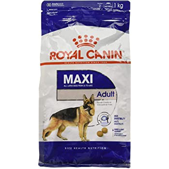 thức ăn cho chó giống lớn royal canin maxi adult gói 1kg