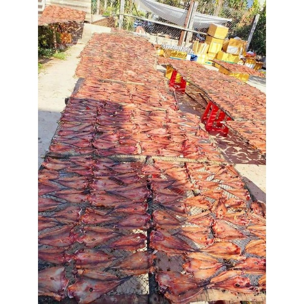 Một kí khô cá ngát Bến Tre, thịt nhiều, ướp đủ vị tiêu đường thơm ngon, bé, ngọt