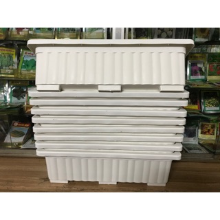 Combo 6 khay trồng rau 63 cm