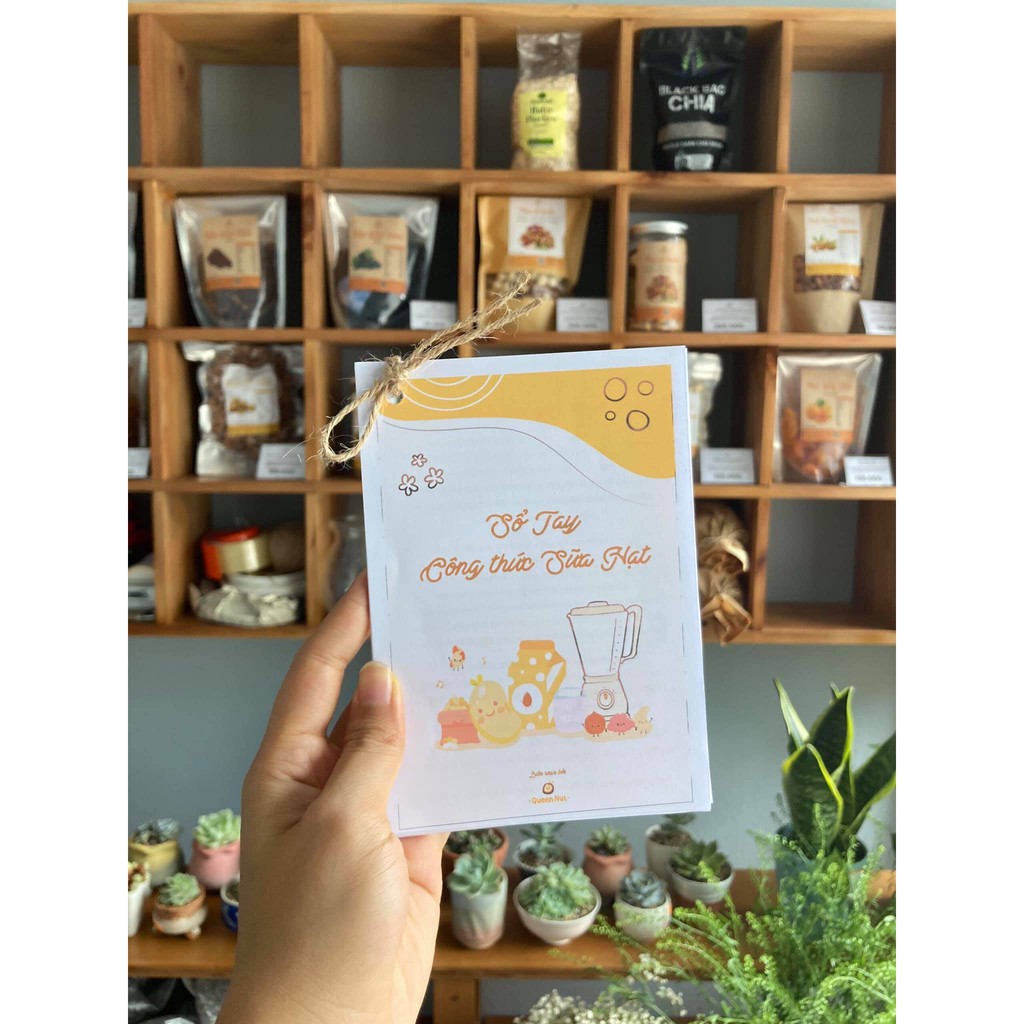 Quả Óc Chó Vàng Mỹ Chandler 500G hạt sống làm sữa/ bánh - Tặng sổ tay công thức sữa hạt