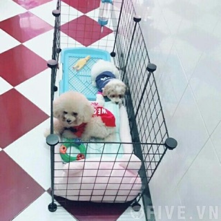 Lồng Quây Ghép Đa Năng Chó Chó Mèo