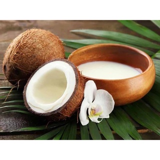 Bột cốt dừa Minaco 50g