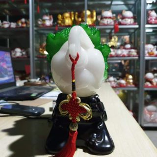 Bắp cải như ý phong thủy