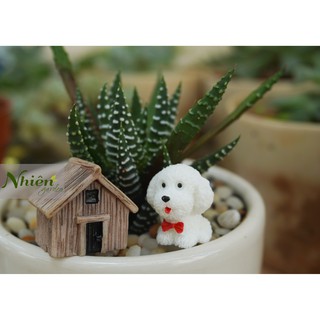 [Hình thật] SET CHÓ POODLE + NHÀ NHỎ - Phụ kiện tiểu cảnh, sen đá