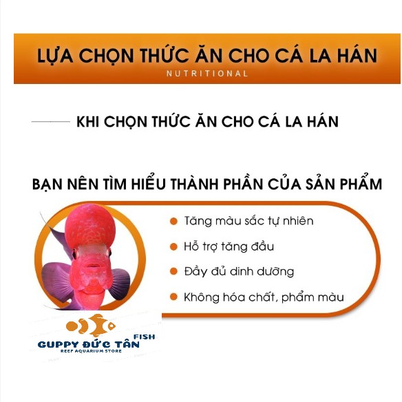 Thức Ăn Cho Cá Cảnh, Cám Nhật tăng màu, tăng đầu cho cá La Hán EXT 120G