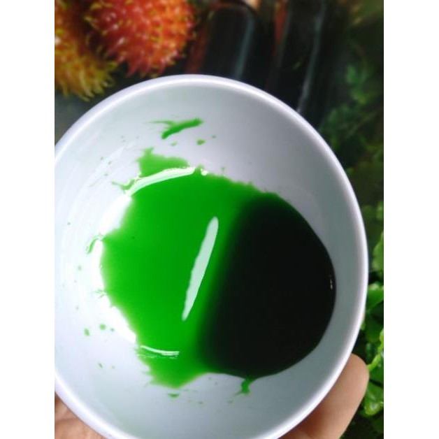 HƯƠNG LÁ DỨA CÓ MÀU XANH