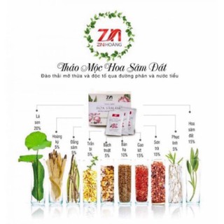 TRÀ THẢO MỘC HOA SÂM ĐẤT