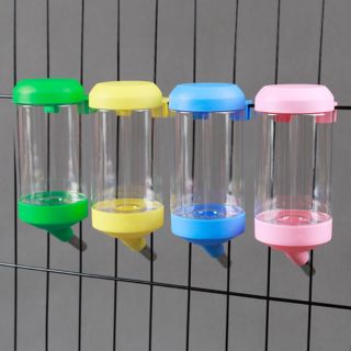 Bình nước cho chó mèo 300ml