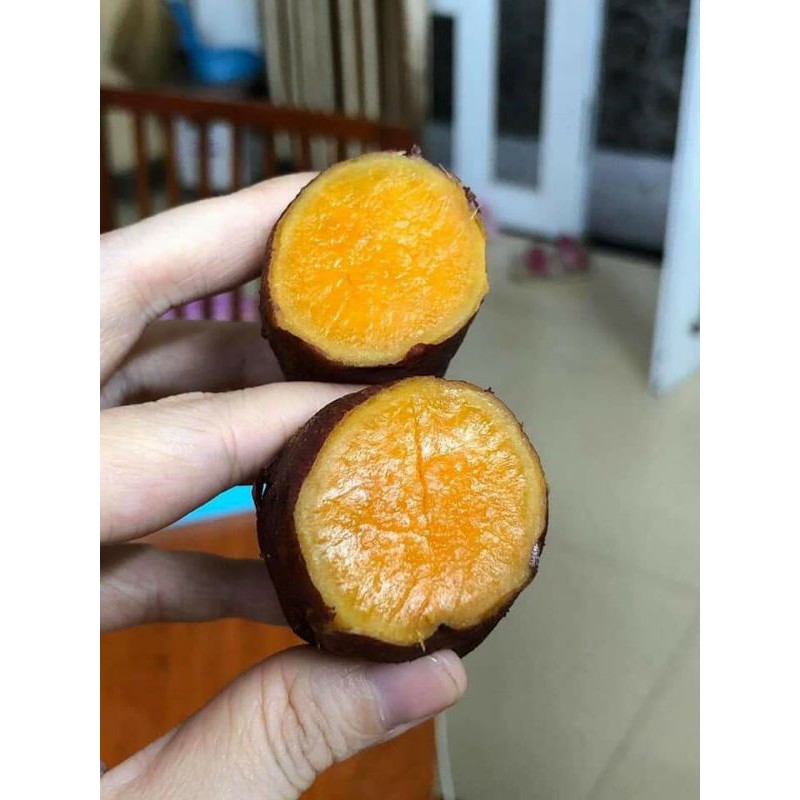 Khoai lang mật Tà Nung - Đà Lạt quy cách 1kg