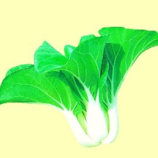 20 GR - HẠT GIỐNG CẢI BẸ TRẮNG