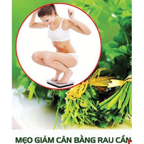 Bột cần tây sấy lạnh nguyên chất Dalahouse (50g) giúp giảm cân, detox, trắng da, chất xơ, làm đẹp, giảm cao huyết áp