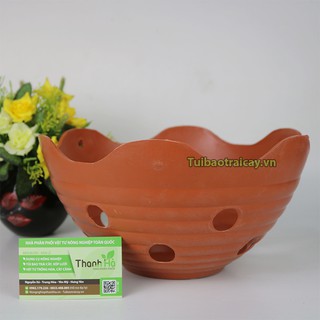 Chậu nhựa phi 27cm trồng lan - CN27