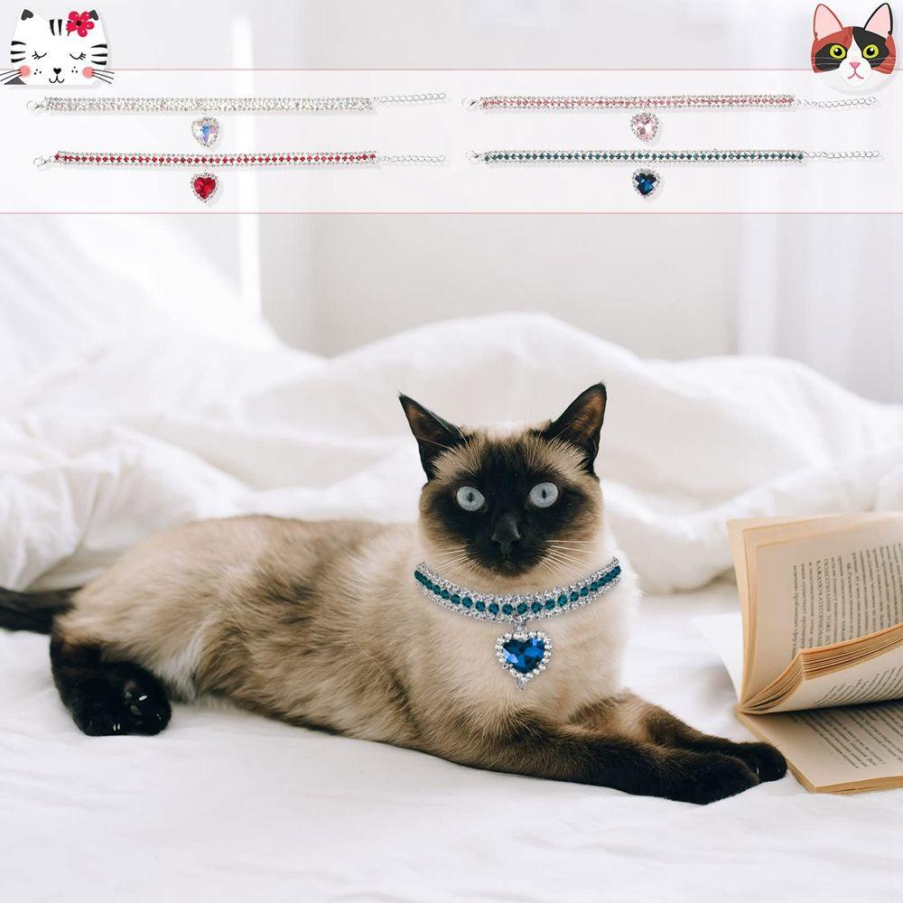 Phụ Kiện Vòng Cổ Thời Trang Không Đổi Màu Cho Thú Cưng Chó Bull Pháp