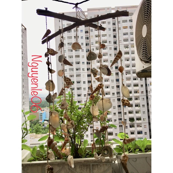 ✅✅Chuông gió bằng vỏ sò vỏ ốc hoàn toàn từ thiên nhiên