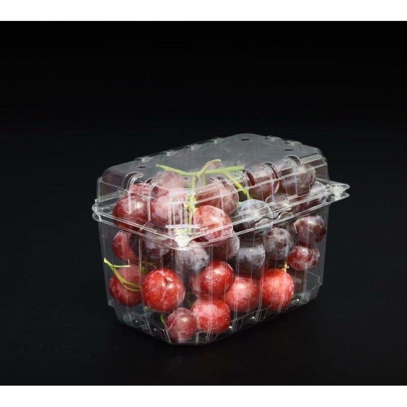 Hộp Nhựa Trong Đựng Trái Cây 500g / 1Kg