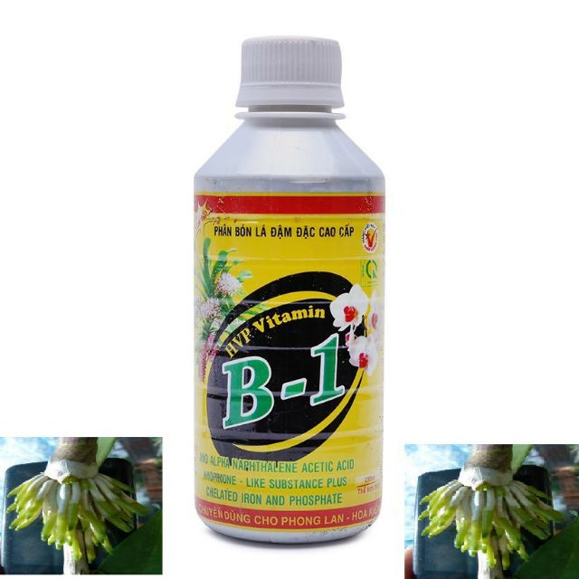 Phân bón lá cao cấp vitamin B1 chuyên dùng cho cây phong lan và các loại hoa cây cảnh