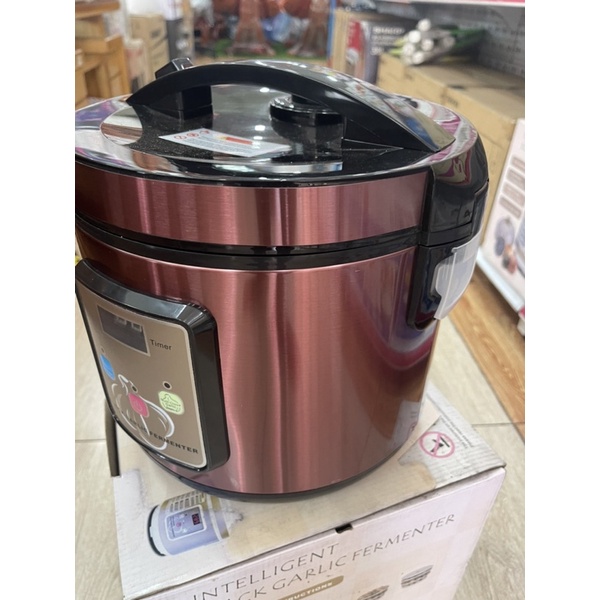 Máy làm tỏi đen thông minh Intelligent black garlic fermenter BL-1668 hàng nội địa Trung Quốc