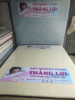 Nệm cao su Memory Foam Thắng Lợi dày 10 Cm