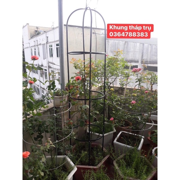 Khung đỡ, giá đỡ hoa hồng leo, cây hoa leo, trang trí màu trắng , xanh cao 1,8m, ĐK 40cm