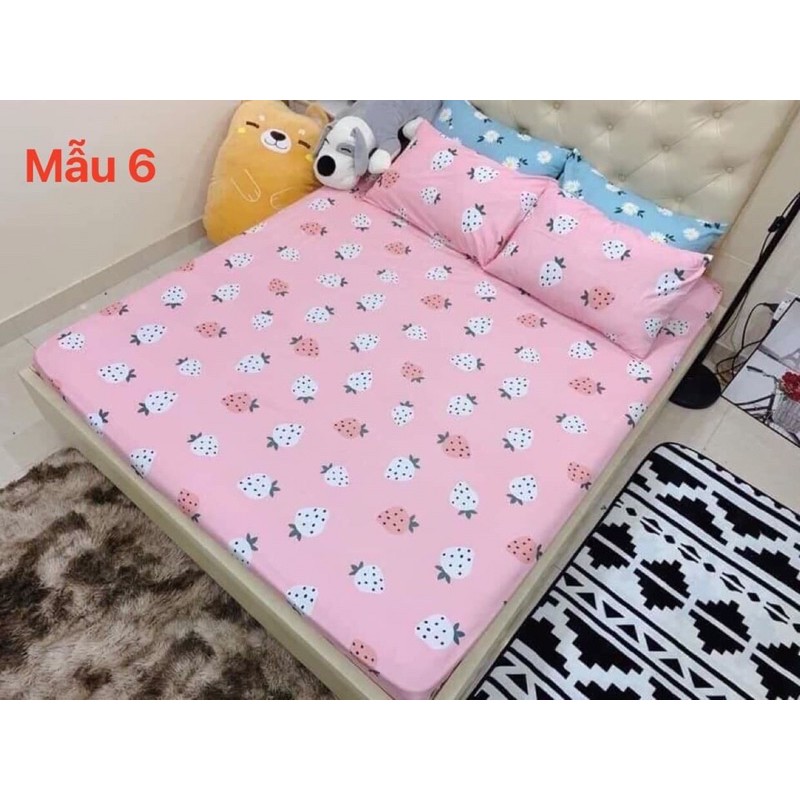 ga giường cotton