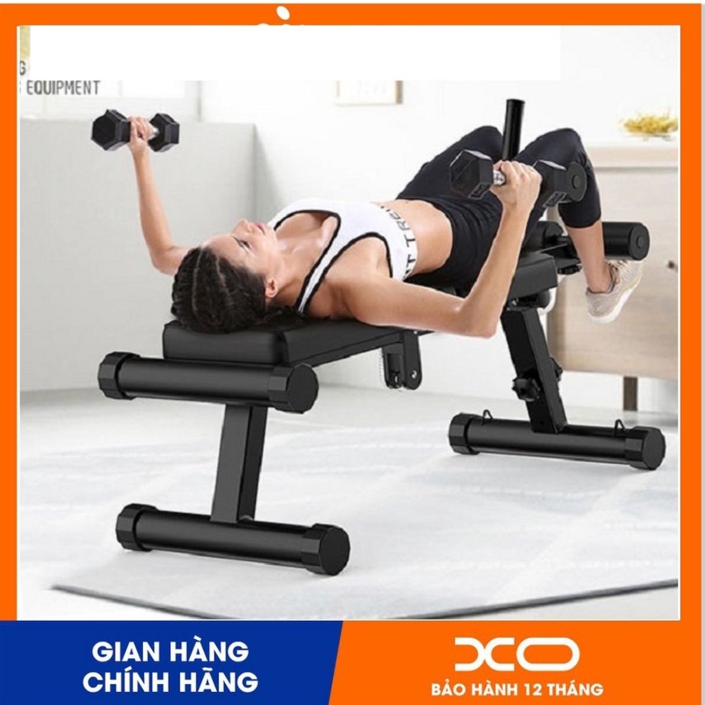 Ghế tập cơ bụng- Ghế tập Gym đa năng