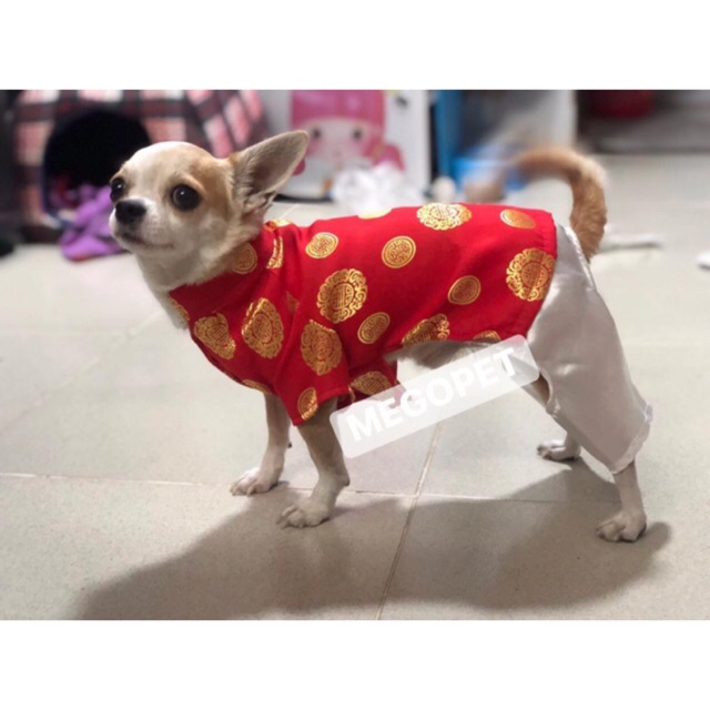 ÁO CHÓ MÈO CÓ SIZE LỚN - ÁO DÀI TRUYỀN THỐNG