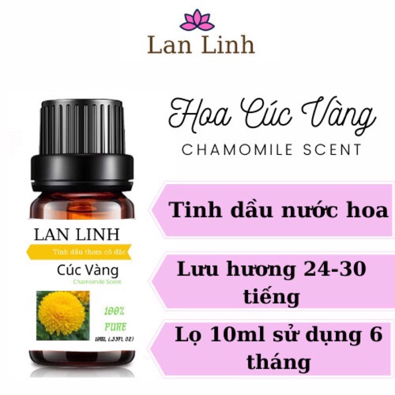 TINH DẦU THIÊN NHIÊN HOA CÚC VÀNG NGUYÊN CHẤT 10ML CÔ ĐẶC LAN LINH
