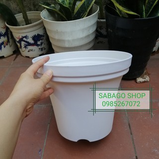 [MẪU MỚI] Chậu nhựa trồng cây tròn mẫu loe trắng Hàng VN chất lượng
