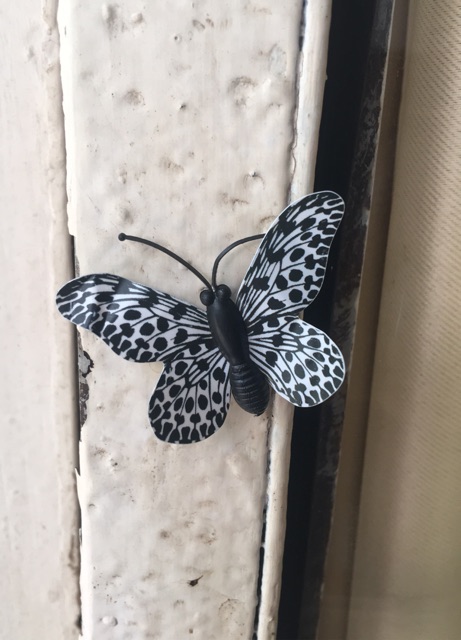 Con Bướm nhựa -cục hít