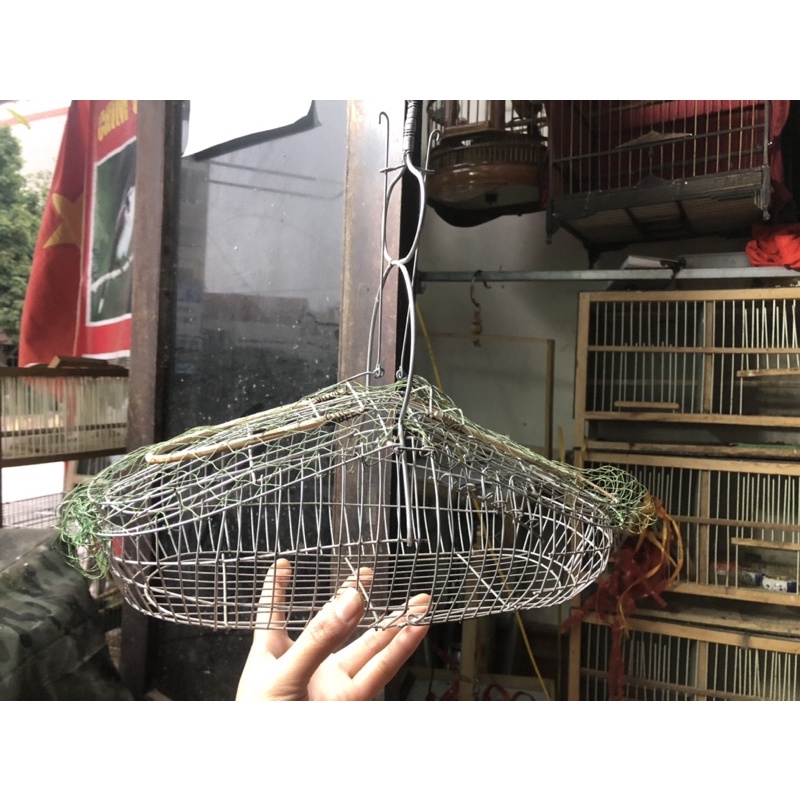 Bẫy khuyên 2 mặt